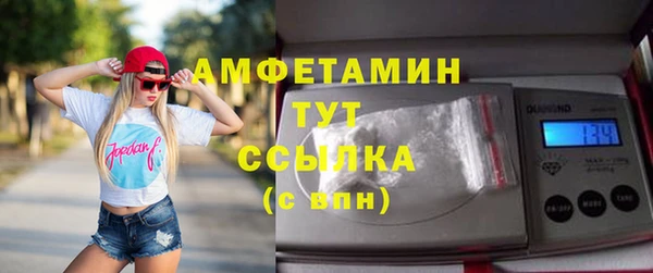 прущий лед Вяземский