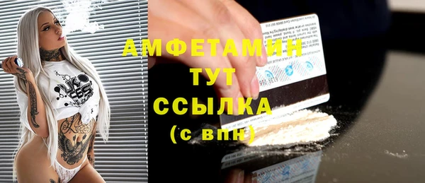 прущий лед Вяземский