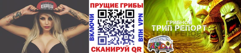 купить закладку  Игарка  Галлюциногенные грибы GOLDEN TEACHER 